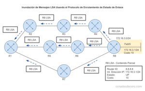 Estado de enlace o LSDB