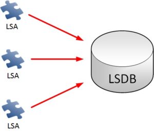 estado de enlace (LSA)